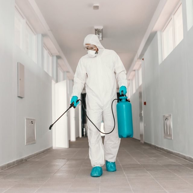 Full length of worker in sterile uniform, with face mask holding sprayer with disinfectant and spraying school hallway.